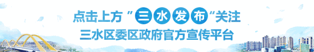 西甲叫陈皮皇后吗_西甲叫什么_西甲叫什么字