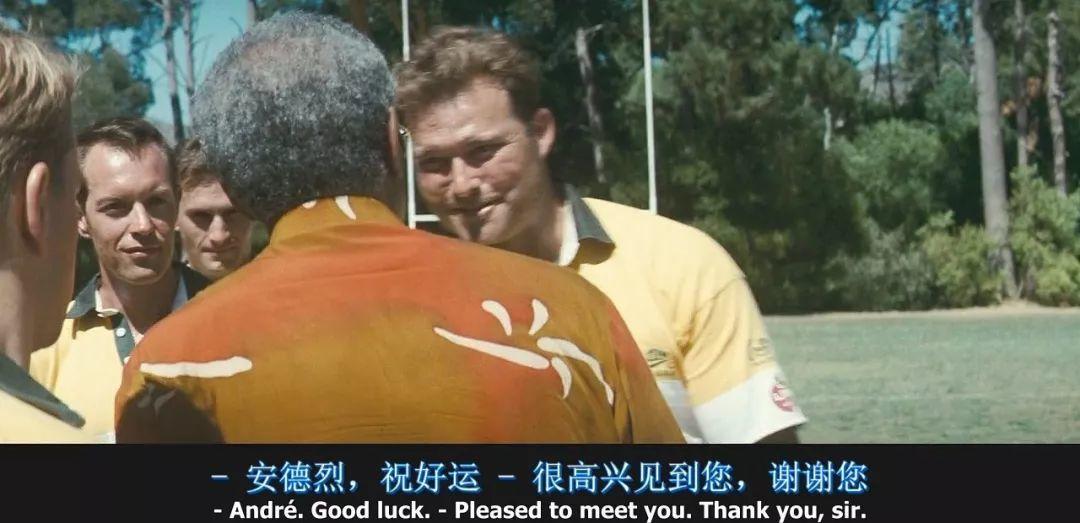 小白兔与大黑熊教案_大黑熊犬图_世界杯大黑熊
