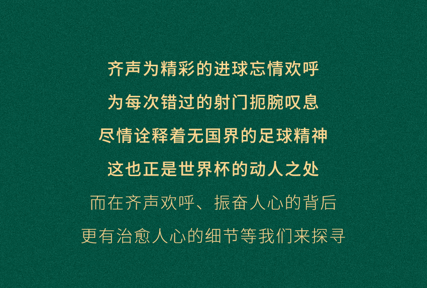 世界杯子_世界杯的杯什么意思_何为世界杯