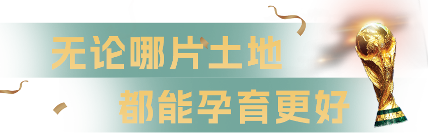 何为世界杯_世界杯子_世界杯的杯什么意思