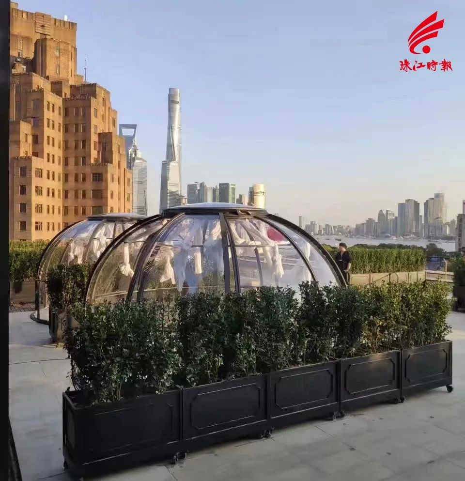 世界树冈布奥问题_兽首玛瑙杯在哪个展厅_世界杯展厅布