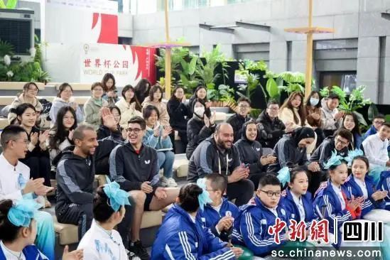 埃及世界杯预选赛战绩_埃及世界杯_埃及的世界杯