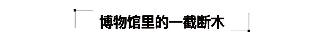 2016德甲球队_德甲球队2024身价排行榜_德甲球队2024