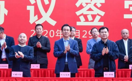 苏宁德甲收购球队名单_苏宁收购的足球队_苏宁收购德甲球队