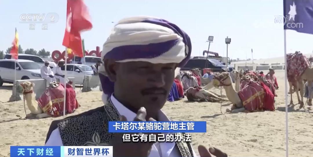 骆驼杯锦标赛_骆驼世界杯_骆驼杯历史