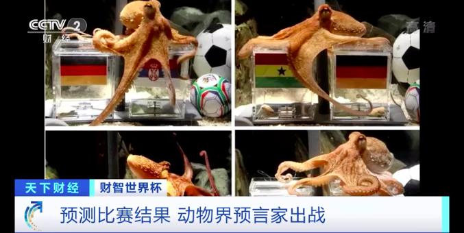 骆驼杯历史_骆驼杯锦标赛_骆驼世界杯