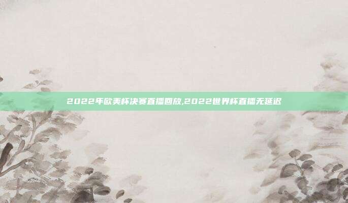 2022年欧美杯决赛直播回放,2022世界杯直播无延迟