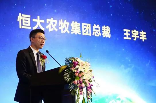 我的世界图片铁铁傀儡_世界杯乳铁_含乳铁蛋白奶粉的排名