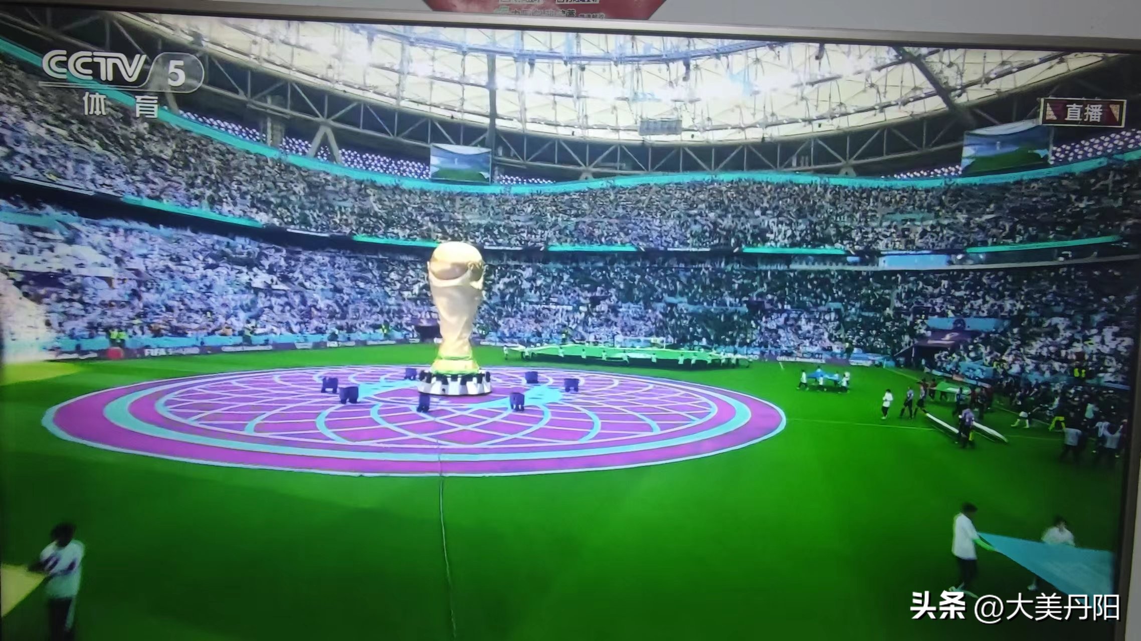 高俅被谁看中_高俅看世界杯_高俅参加世界杯