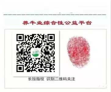 滑县世界杯_夏邑县滑世界_河南安阳滑县世纪广场在哪里