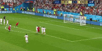 罗斯的世界杯_罗伊斯2022世界杯_罗伊斯世界杯