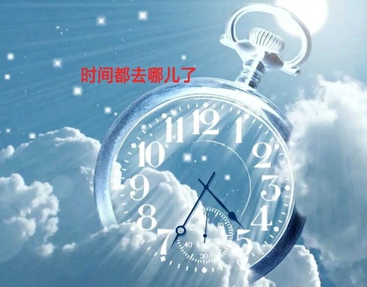 世界树嫩枝1003世界树嫩枝_世界杯 树_穿越之世界树