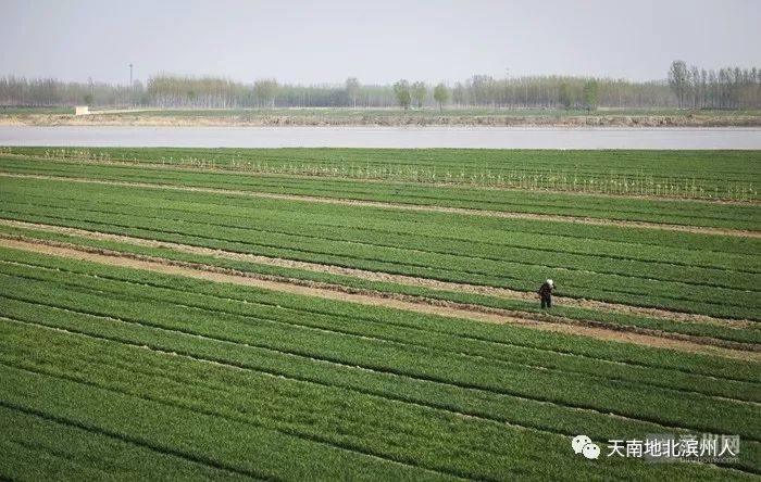 滨州世界城_滨州世界杯_滨州市锦标赛