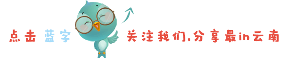 本届世界杯是哪一年_本届世界杯最_本土世界杯