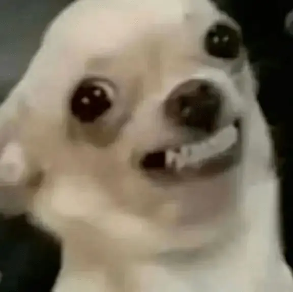 精灵世界杯_精灵杯大赛百度云_精灵杯是多少毫升