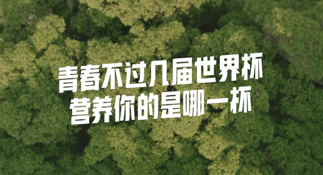 世界杯奖杯定名_世界杯奖杯名字_世界杯78名