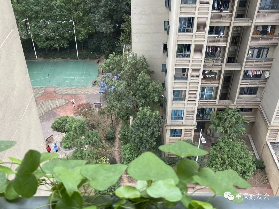 世界级乌龙_乌龙球世界杯_世界杯乌龙