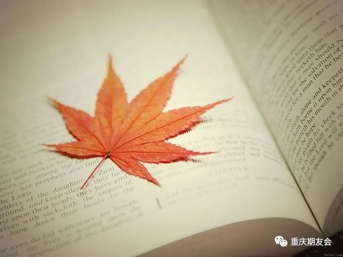 乌龙球世界杯_世界级乌龙_世界杯乌龙