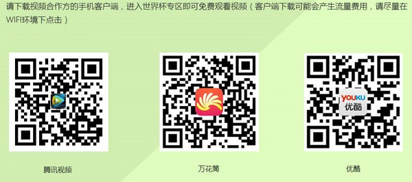 合作视频网站