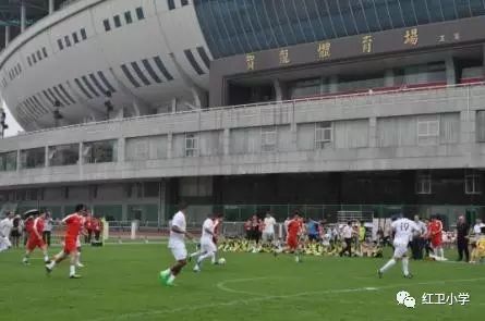 福齐世界杯_2021福齐世界杯赛专环_武汉福齐世界杯