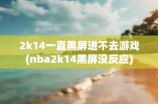 NBA2K14黑屏问题解决方法大全：快速修复游戏无法进入问题