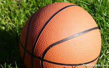 nba篮球职业比赛_nba职业篮球联赛_篮球联赛职业化的国家有哪些