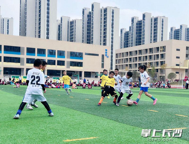 2022卡塔尔世界杯期间，长沙麓山国际洋湖实验学校举行班级足球赛，点燃少年足球激情