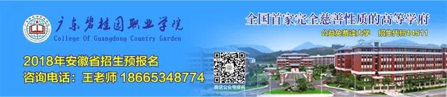 碧桂园杯排名_世界杯碧桂园_碧桂园杯赛事