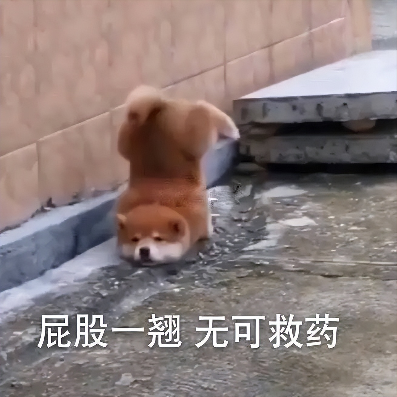 世界杯好呢好_世界杯好呢好_世界杯好呢好