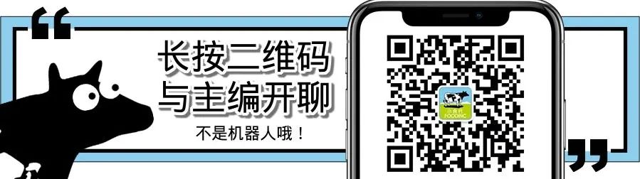 2022卡塔尔世界杯营销新趋势：百威如何通过社交媒体吸引年轻消费者