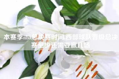 2023 NBA总决赛时间表及西部球队晋级总决赛所需胜利场次解析