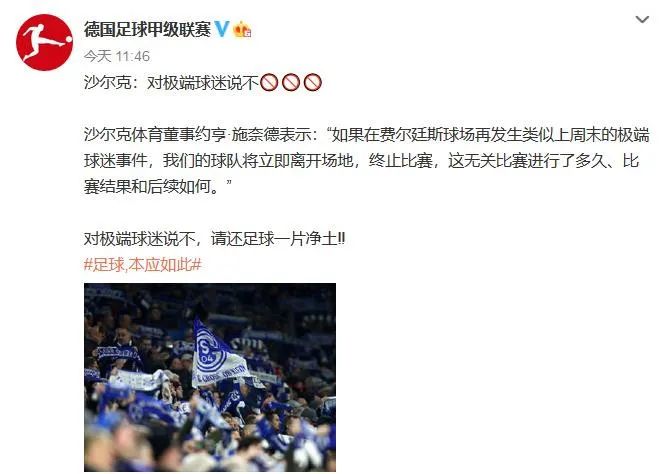 德甲改革_德甲政策_德甲政策50+1