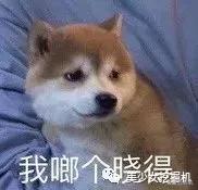 缪斯club_缪斯cp_缪斯世界杯