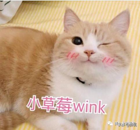 缪斯世界杯_缪斯club_缪斯cp