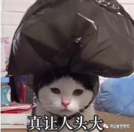 缪斯cp_缪斯世界杯_缪斯club