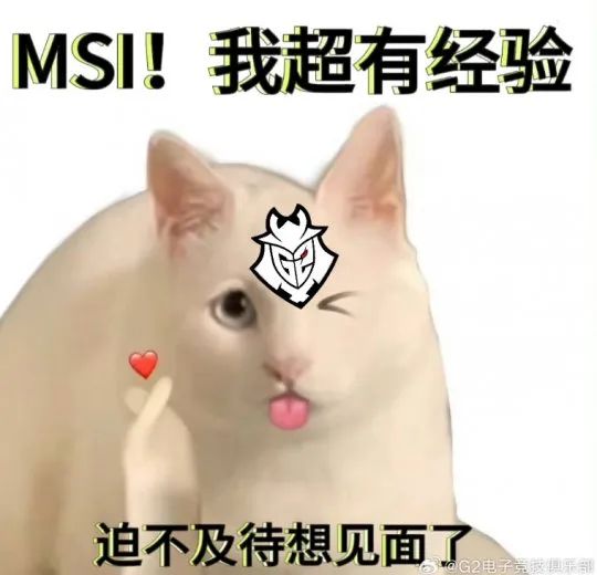 阿狸的世界杯_阿狸集锦_wea阿狸