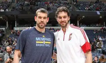 nba篮球兄弟_nba兄弟球员_球星兄弟