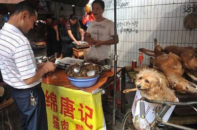 吐槽大会的奖杯叫什么_国际吐槽大会_世界杯吐槽帮