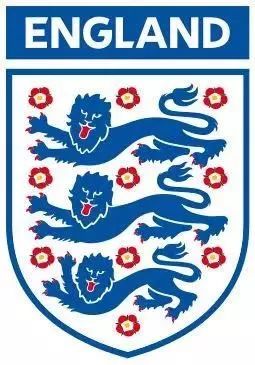 世界杯好英语_英语世界大赛_世界级英语比赛