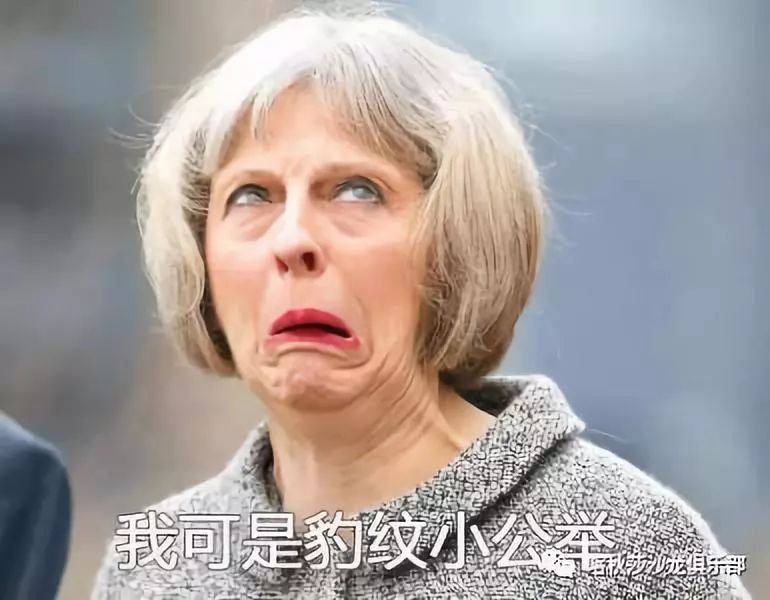 世界杯对普京_世界以阻止普京卖萌了_世界硬汉普京视频