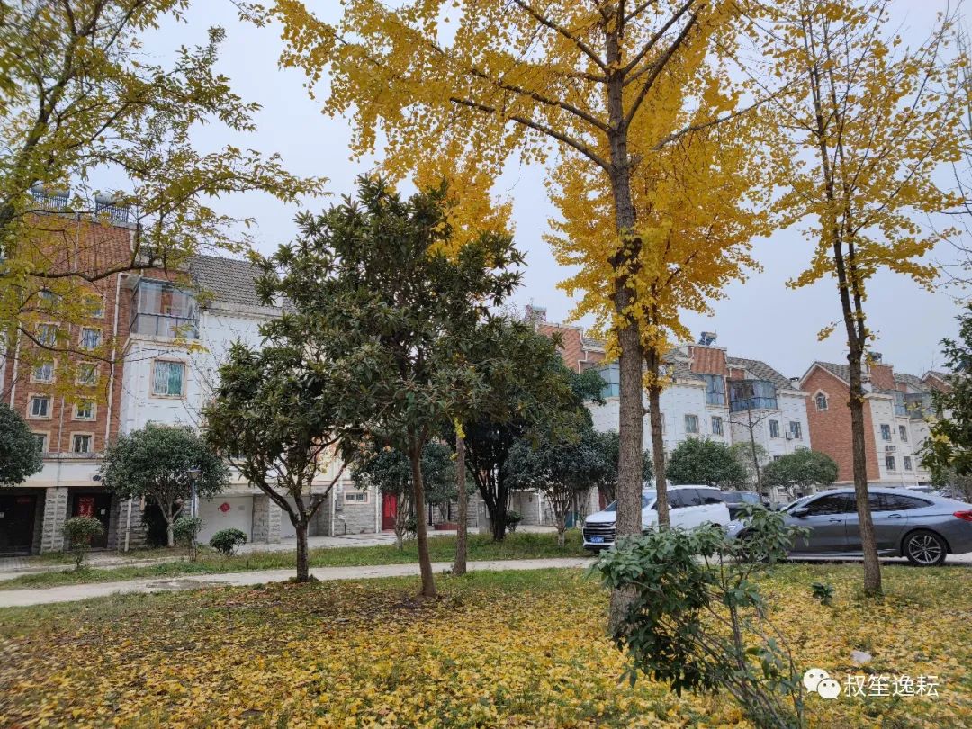 杯世界秋风的季节_杯世界棋王战_世界杯几对