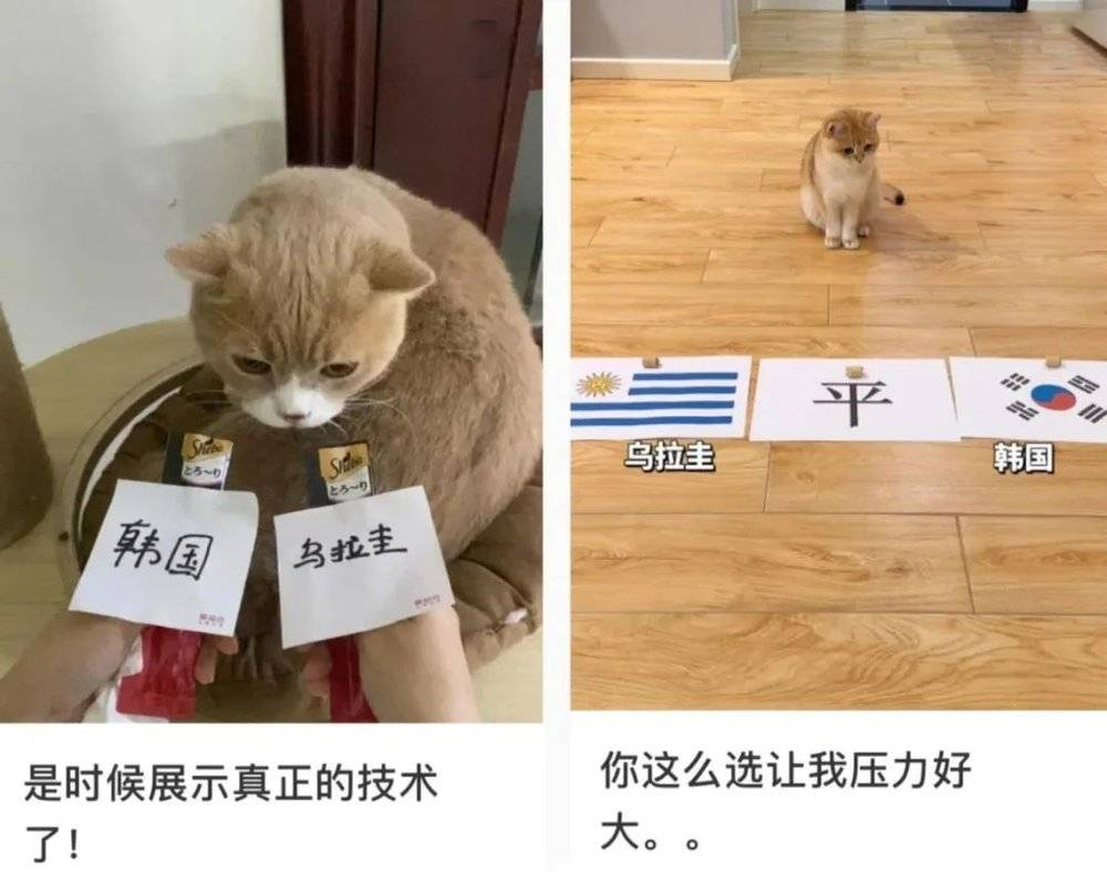 世界杯天台门_世界杯上天台什么意思_世界杯天台见