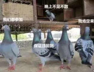 杯世界秋风的季节_杯世界小组赛_QQ世界杯么