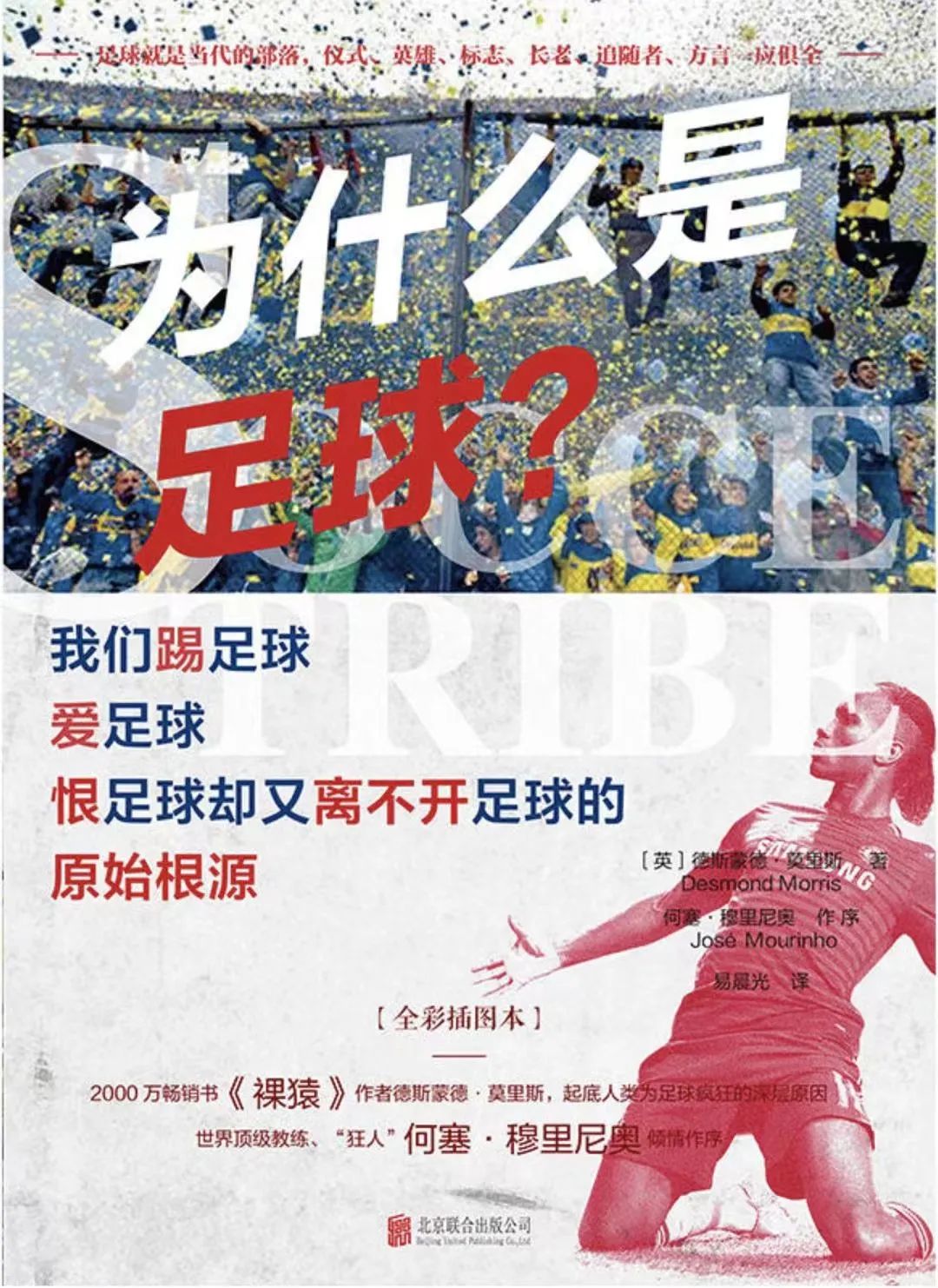 在看世界杯吗_看世界杯呀_看世界杯什么意思